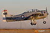 IMG_0826M_800_copy.jpg
