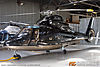 IMG_0833m_800.jpg
