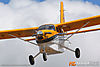IMG_0845m_800.jpg