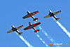 IMG_0852m_800.jpg