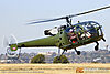 IMG_0903M_8002.jpg