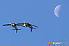 IMG_0927m_800.jpg