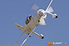 IMG_0937m_8001.jpg