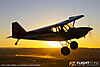 IMG_0985m_8001.jpg