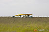 IMG_1030M_800.jpg