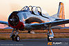 IMG_1045m_800_copy.jpg