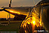 IMG_1076M_800.jpg