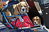 IMG_1112M_800.jpg