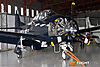IMG_1130m_800_copy.jpg