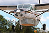 IMG_1187m_800.jpg