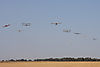 IMG_1215m_800.jpg
