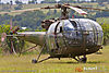 IMG_1240m_800.jpg