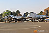 IMG_1306M_800.jpg