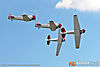 IMG_1321m_800.jpg