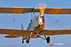 IMG_1351m2_800.jpg