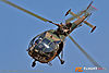 IMG_1399m_800.jpg