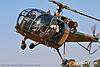 IMG_1401m_8002.jpg