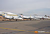 IMG_1433m_800_copy.jpg