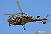 IMG_1437M_800.jpg