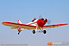 IMG_1453m_8001.jpg