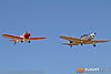 IMG_1475M_8001.jpg