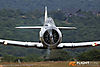 IMG_1536m_800.jpg