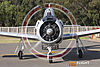 IMG_1545m_800.jpg