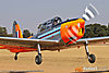 IMG_1550m_800.jpg
