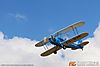 IMG_1575M_8001.jpg