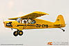 IMG_1632m_800_copy.jpg