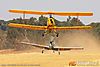 IMG_1660m_800.jpg