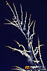 IMG_1684m_8001.jpg