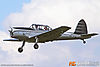 IMG_1708m_800.jpg