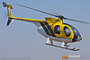IMG_1750M_800.jpg