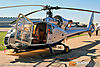 IMG_1787m_800.jpg