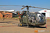 IMG_1910m_800.jpg