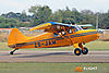 IMG_1911m3_800a.jpg