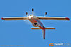 IMG_1952m_800.jpg