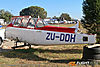 IMG_1962m_800.jpg
