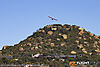 IMG_1975m_8001.jpg