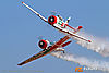 IMG_2011m_800.jpg