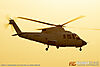 IMG_2024m_8003.jpg