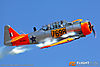 IMG_2034M_800.jpg
