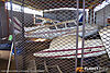 IMG_2056m_8002.jpg
