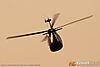 IMG_2076m_8001.jpg