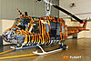 IMG_2146M_800.jpg
