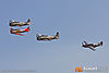 IMG_2201M_800_copy.jpg