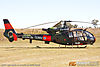 IMG_2253m_800.jpg