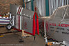 IMG_2272m_800.jpg