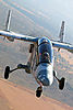 IMG_2281m_8001.jpg